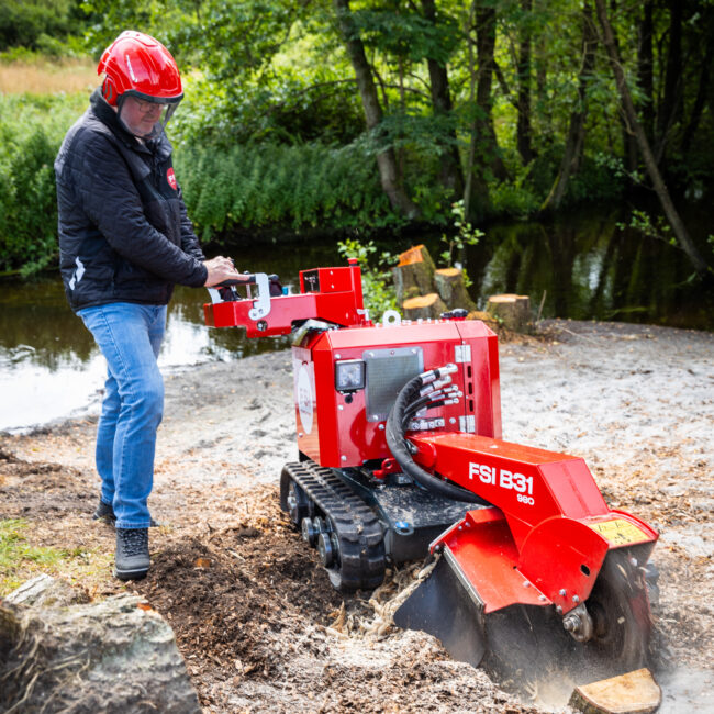 FSI B31-980 working on a stump