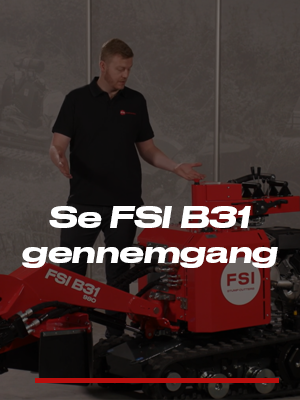 Se FSI B31 gennemgang