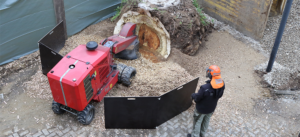 Mario Grassmann on site stump grinding