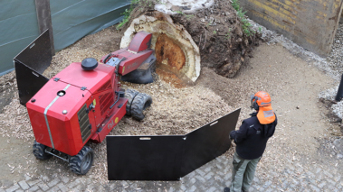 Mario Grassmann on site stump grinding