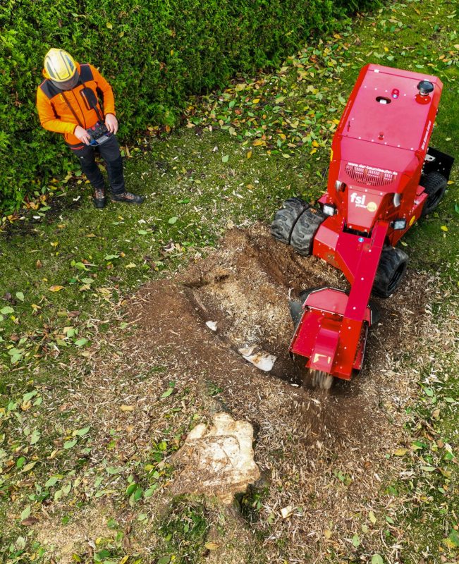 DJI_0613_Bearbeitet